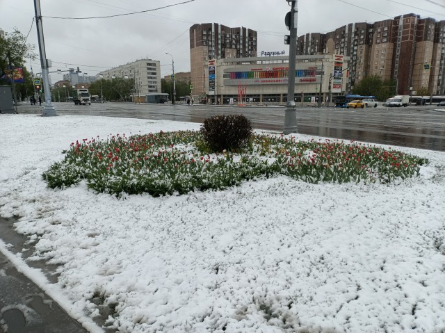 Привет Май!