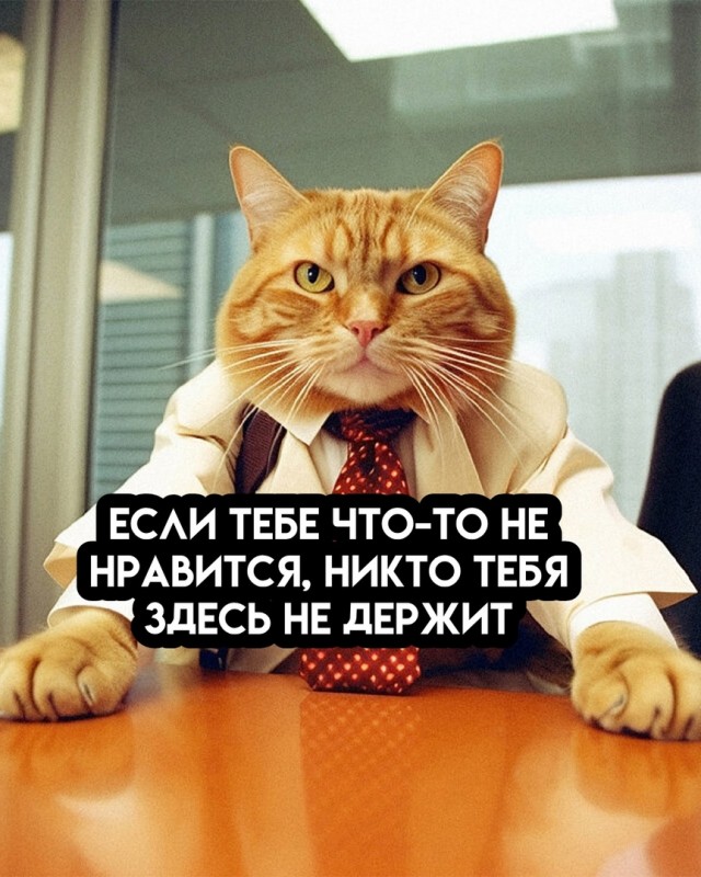Так себе картинки 21.05.25