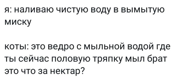 Веселое настроение в картинках (18.08.2025)