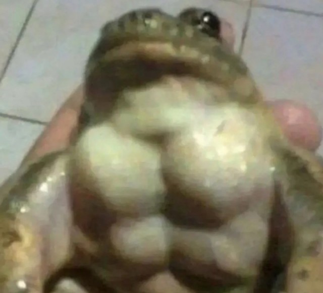 Всякая бредятина