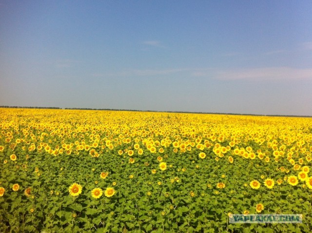 Красота то какая !