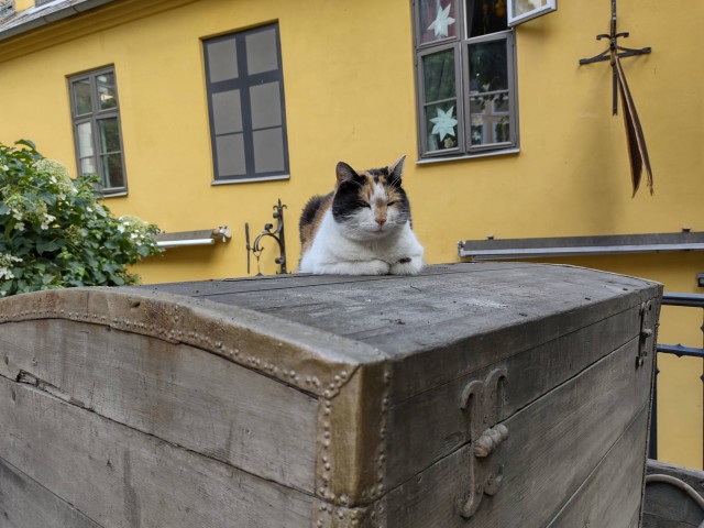 Россия vs Латвия