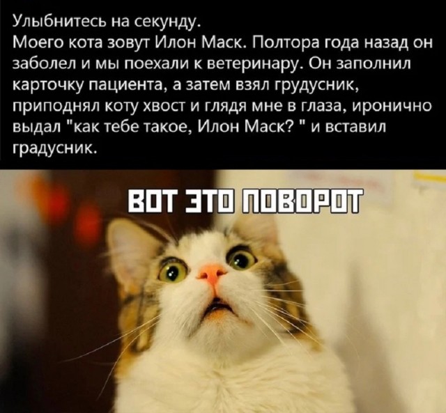 Так себе картинки 18.03.26