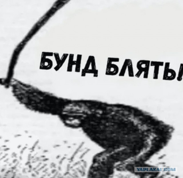 Импортовсехзаместим.