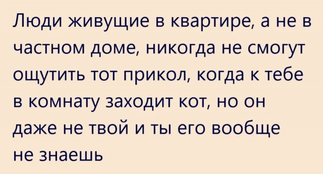 Воскресные картинки