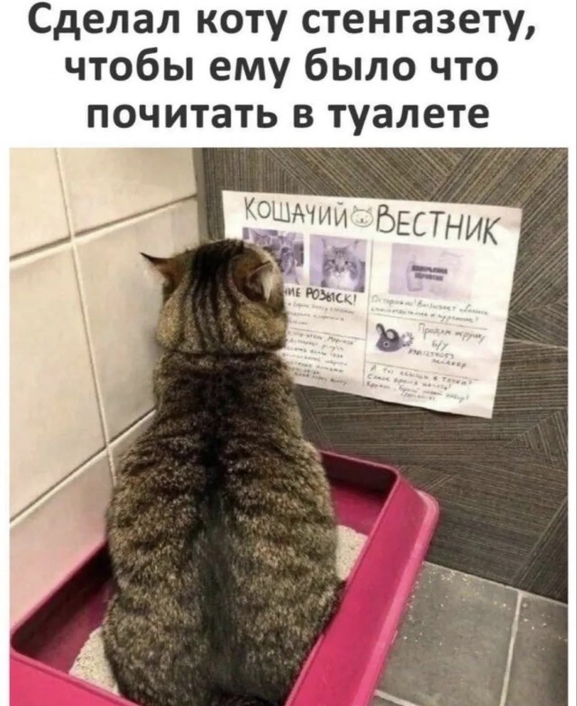 Картинки для деградации 198 (разной степени свежести)