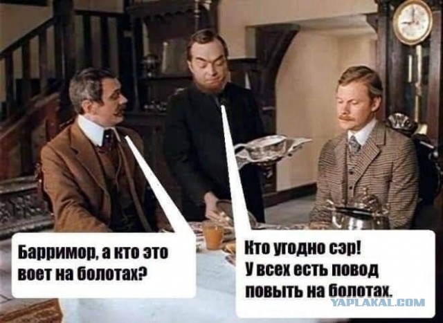 Поездка выходного дня. Болото Вишенское.