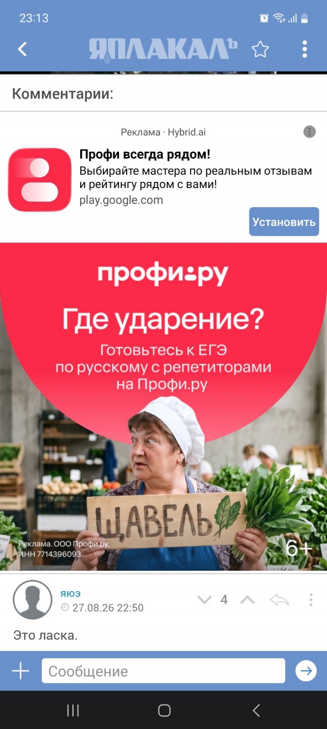 Опа, горностай