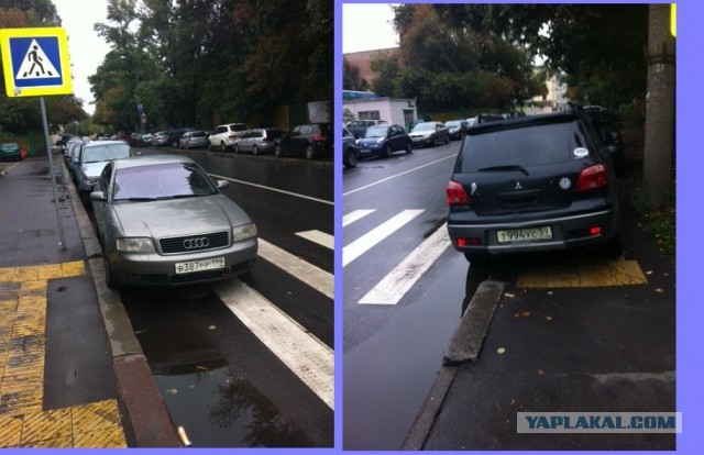 СтопХам 103 - Женщина шум