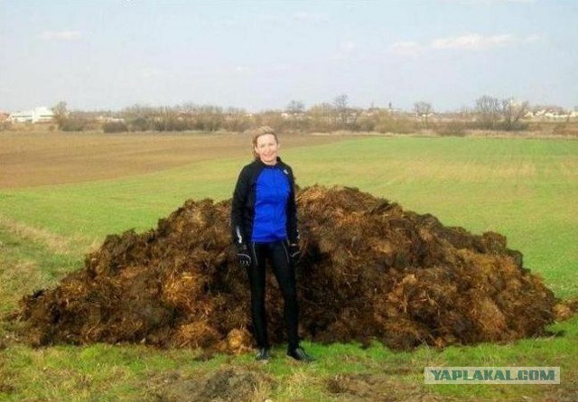 нелаваз тнозирог