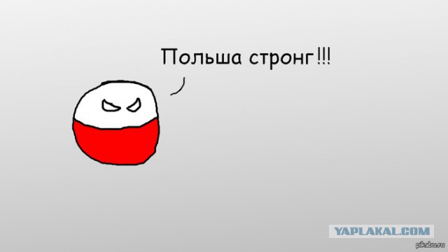 Польша начинает что-то подозревать