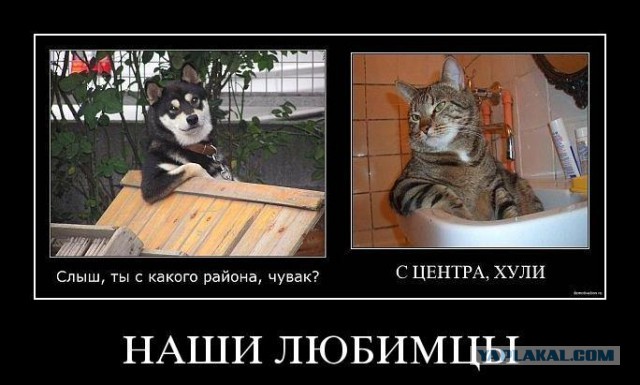 Смешные комментарии