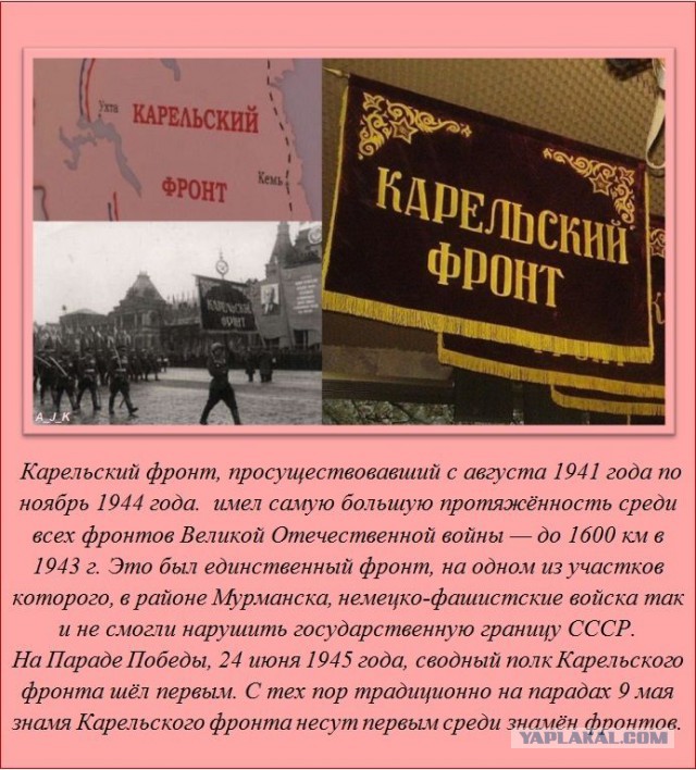 20 фактов обо всем