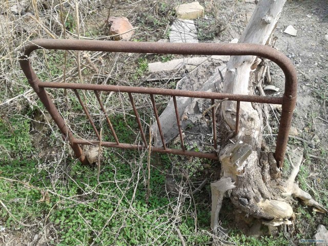 Шутки природы