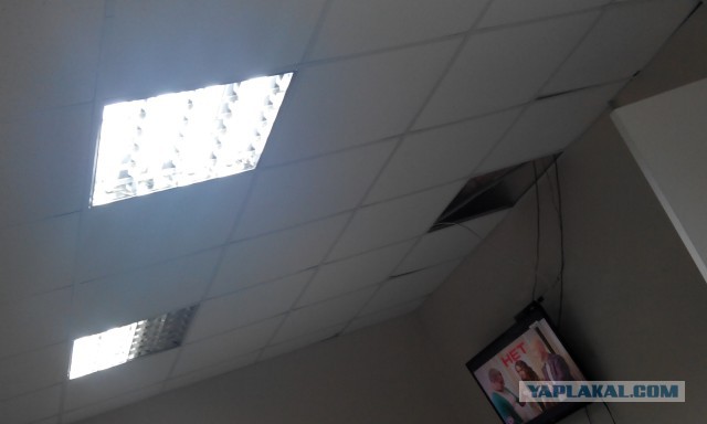 Они повсюду: забавная парейдолия