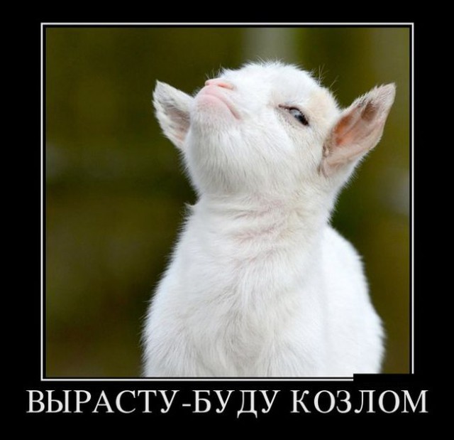 Картинки с просторов на четверг