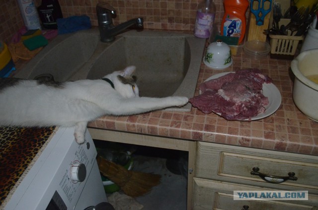 Свининка с картохой