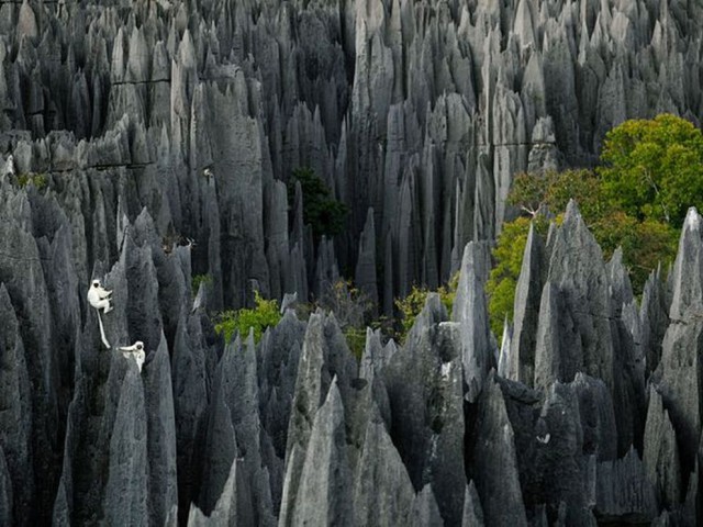 Подборка фотографий дня Nationalgeographic