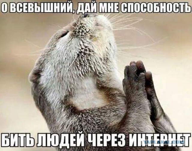 Ответил за "базар" в сети