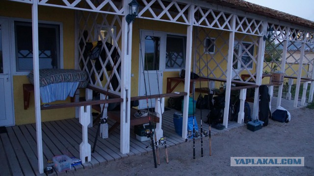 Съездили на рыбалку в Казахстан