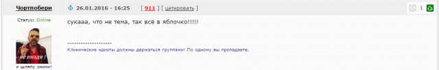 «Мутный ум» или Шнур обо всем