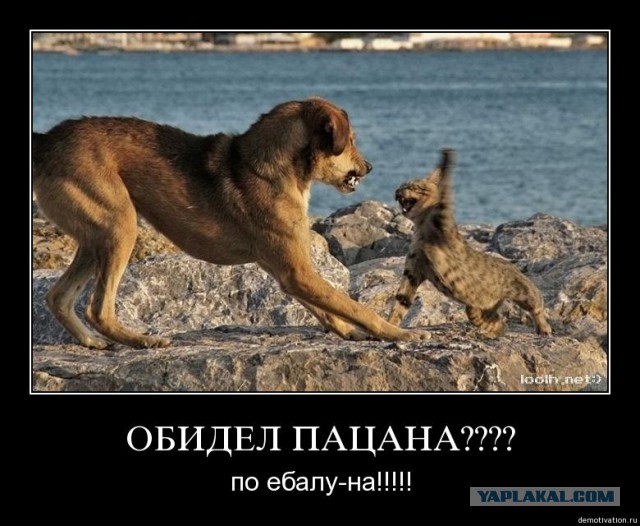 Когда терпение лопнуло