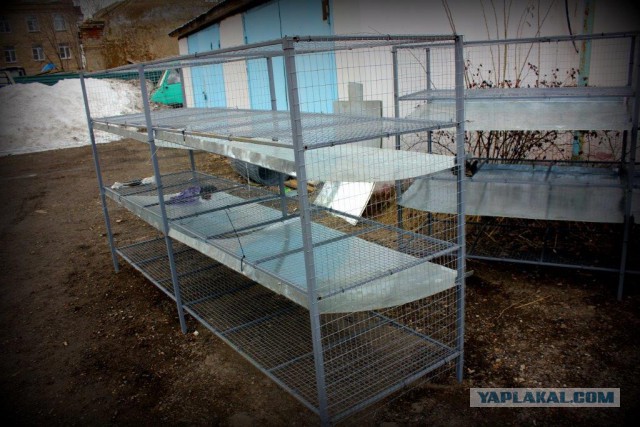 Сельскохозяйственный эксперимент ч. 5