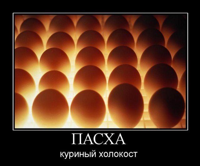 Какие, нахер, яйца?!