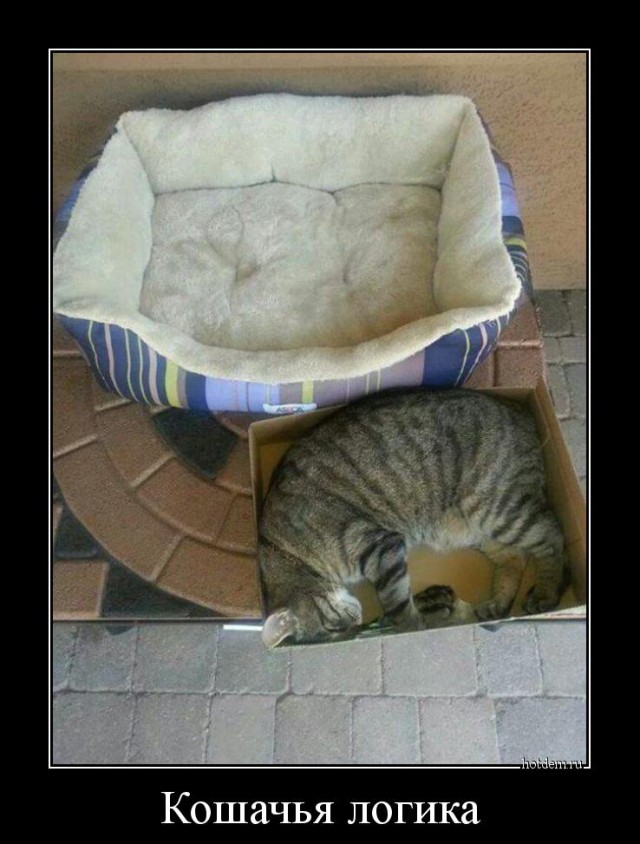 Подборка интересных и смешных картинок