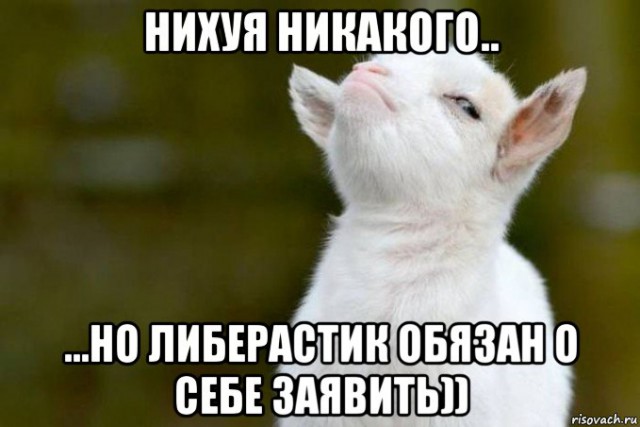 Мэтью Ли вогнал в ступор представителя госдепа