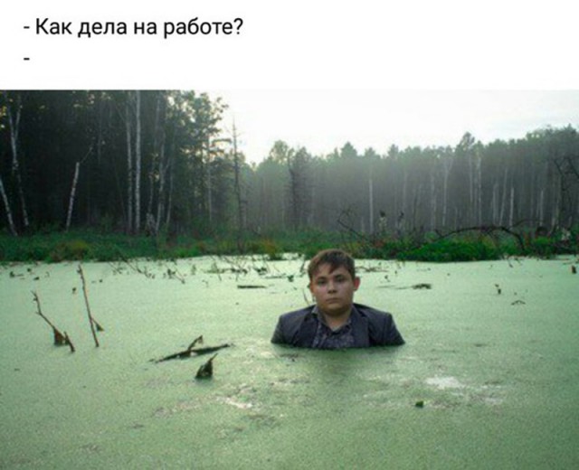 Меня засосала Опасная трясина, И жизнь моя — вечная игра.(с)