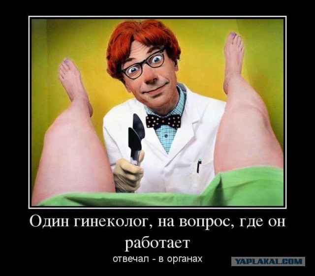 Как гинекологи себе жен выбирают