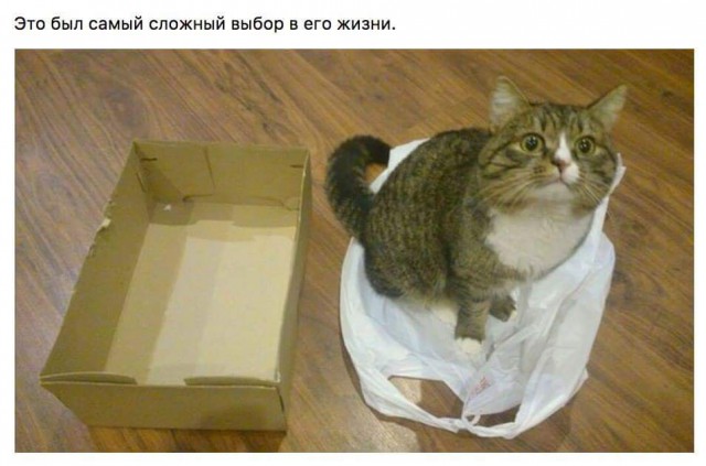 Всякое разное из сети