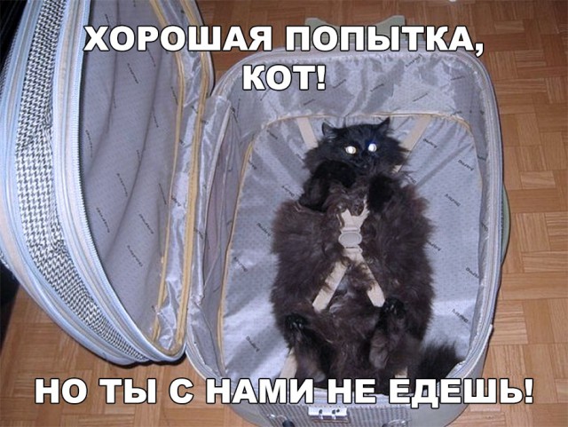 Немного милоты