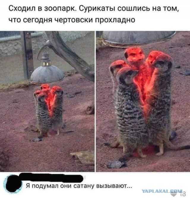 Прикалюхи