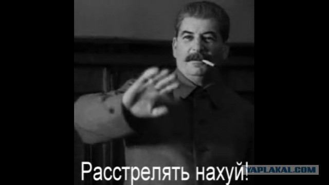 "Вот так вот живут депутаты!" Пьяный заезд депутата из Тулуна попал в сеть