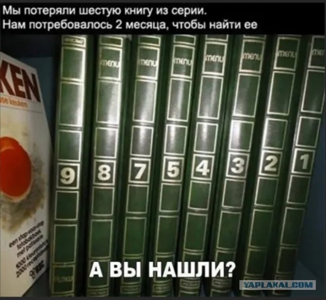 Бредзона 08.02.2020