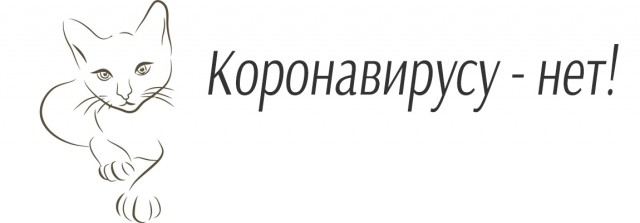 Почему в России не будет эпидемии короновируса