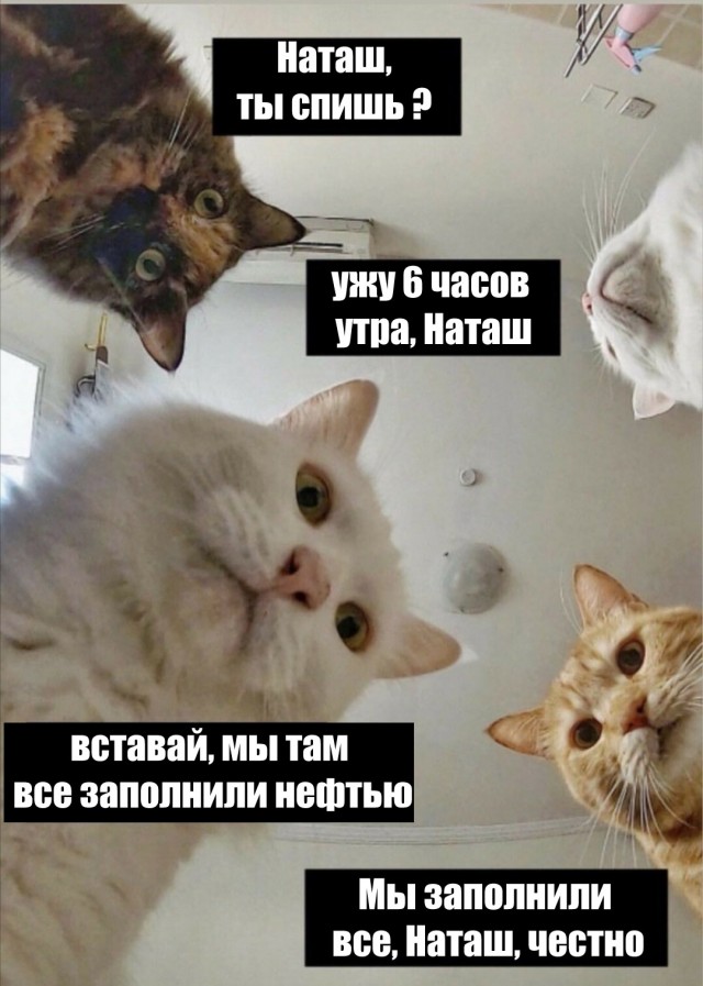 "Нефтью залито всё": с хранилищами творится ад. В мае места для черного золота в России не останется вообще