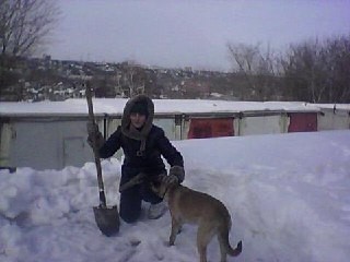 У женщины украли щенка, затем его съели, а останки подкинули обратно хозяйке.