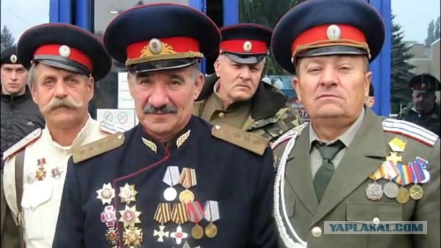 Генетики поставили точку в споре являются ли казаки русскими или нет