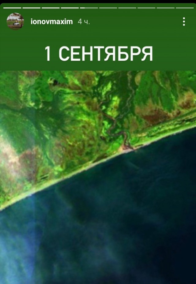 Побережье Камчатки превратилось в кладбище морских обитателей