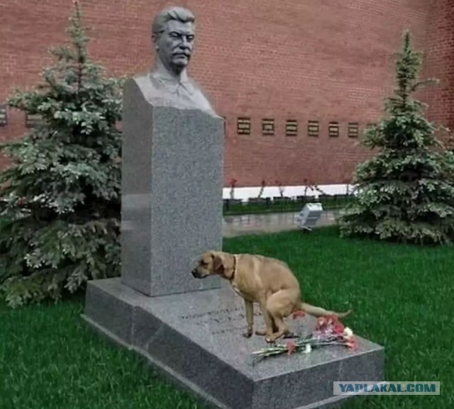 Stalin Doner в Москве проработал лишь один день. Владельца арестовали силовики