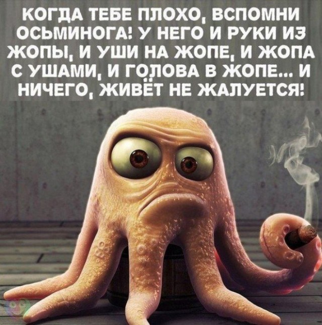 Готовим осьминога 16+