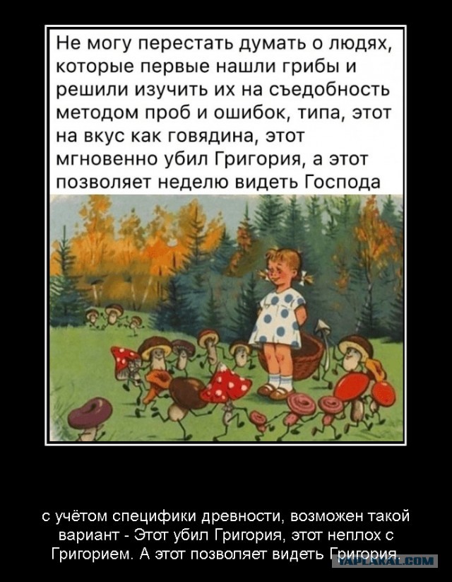Прикольные и просто красивые картинки 03.06.2021