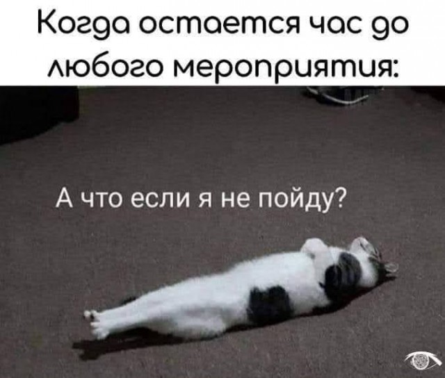 Всяческие картинки 16.06.2021