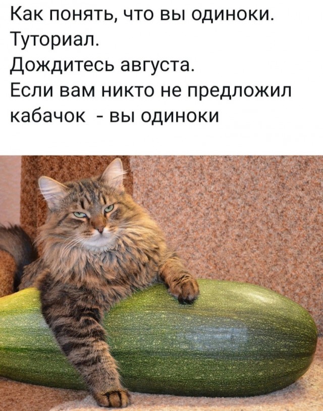 Калейдоскоп картинок