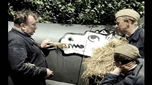Самый большой слон Индии