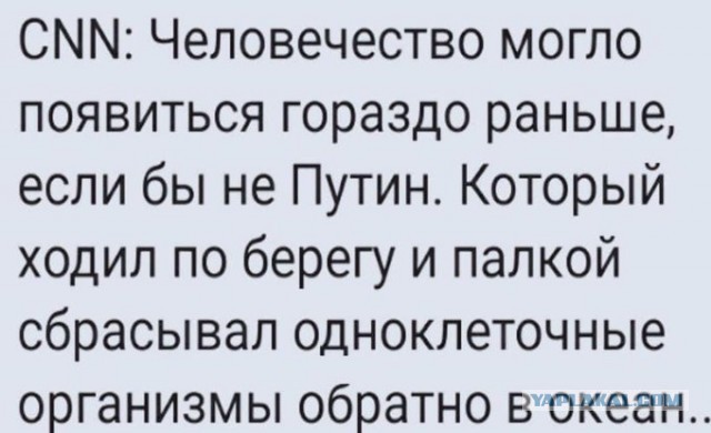 А потом Борис спросил у парламентского офиса как ему приструнить Путина