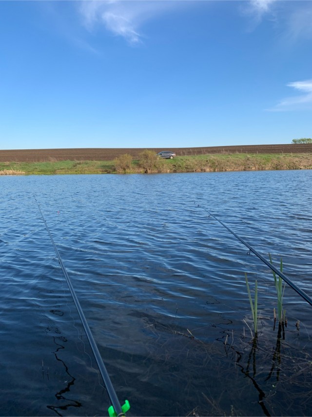 Туман, река, Воронеж